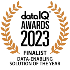 data IQ awards 2023